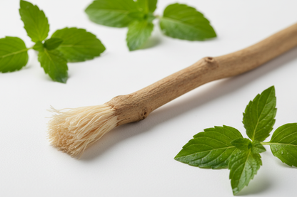 miswak herbal natural 